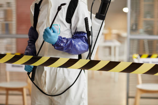 Professional Sewage Cleanup technician working in Stratford, WI